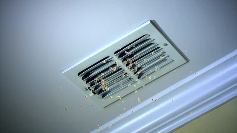 Best Professional Duct Cleaning Services  in Atkins, AR