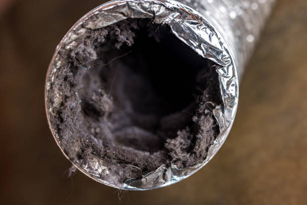 Best Emergency Air Duct Cleaning  in Atkins, AR