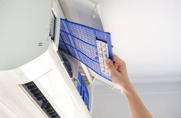 Best Dryer Vent Cleaning Services  in Atkins, AR